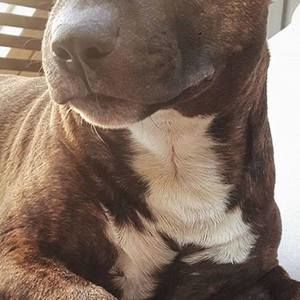 Meet your Posher, Guadalupe